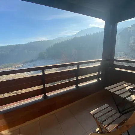 Forest View C34 *